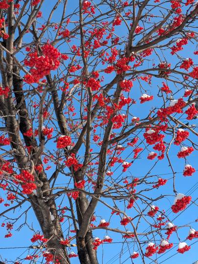 北のエポナ☆かくれ部屋10