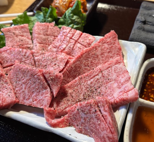 生き物ルーム73