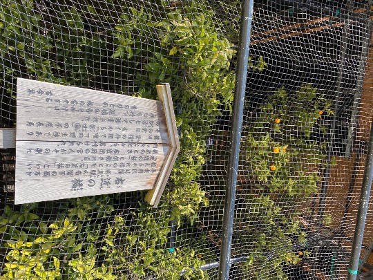 ★ドンキ♡♡ロピア雑談112★