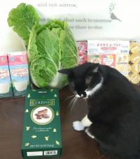 1月8日(水曜日) 　広島倉庫店｜本年もよろしくお願いしまっす(๑•̀ㅂ•...