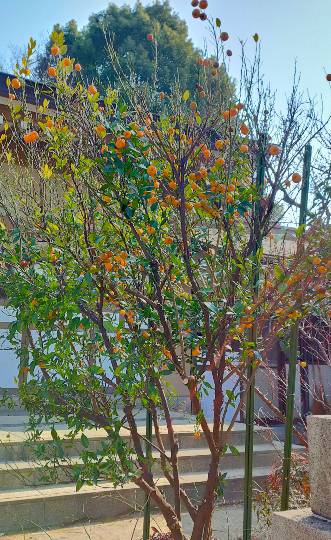 ★ドンキ♡♡ロピア雑談112★