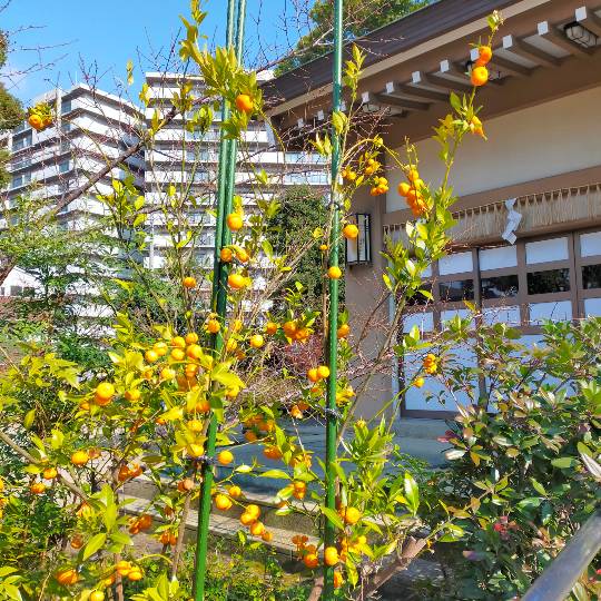 ★ドンキ♡♡ロピア雑談112★