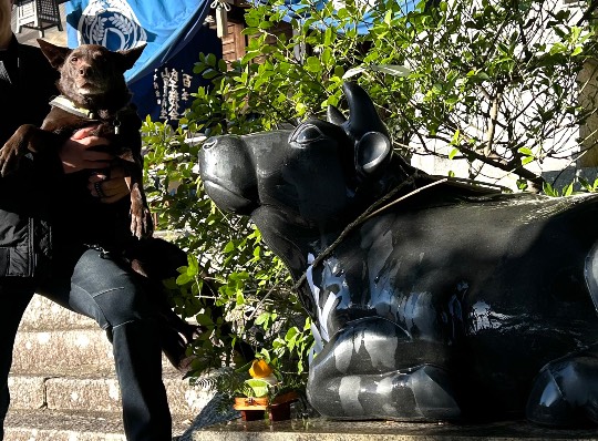 生き物ルーム73