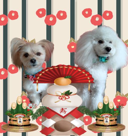 生き物ルーム73