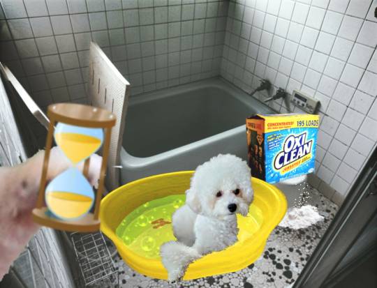 生き物ルーム73