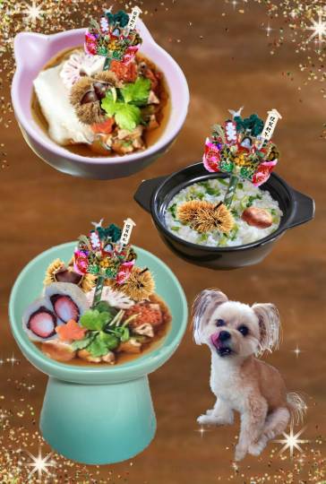 生き物ルーム73