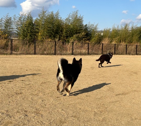 生き物ルーム73