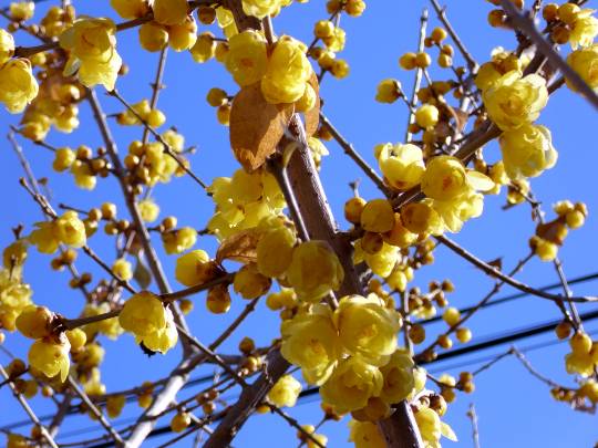 ★ドンキ♡♡ロピア雑談112★