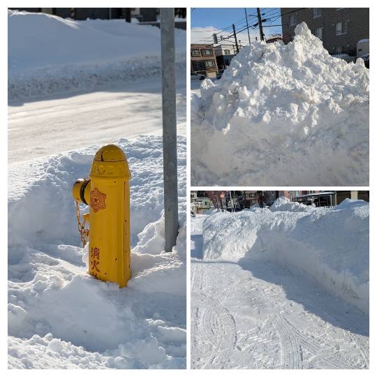 北のエポナ☆かくれ部屋10