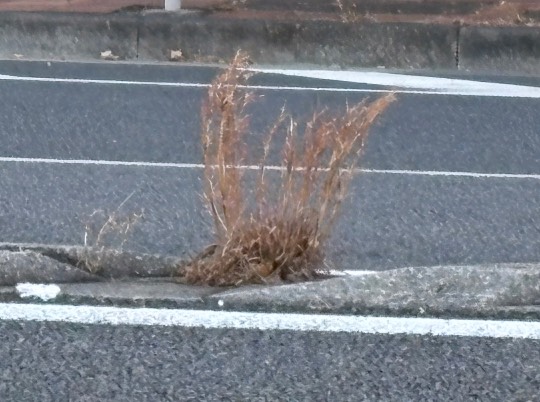 北のエポナ☆かくれ部屋10