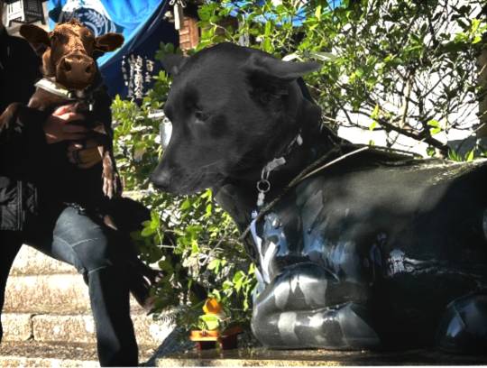 生き物ルーム73