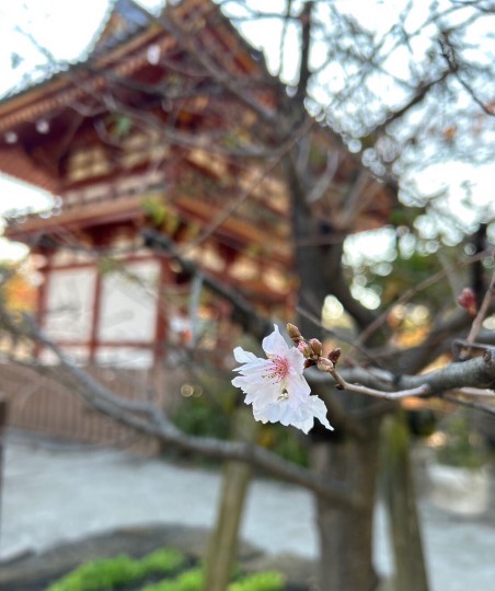 北のエポナ☆かくれ部屋10