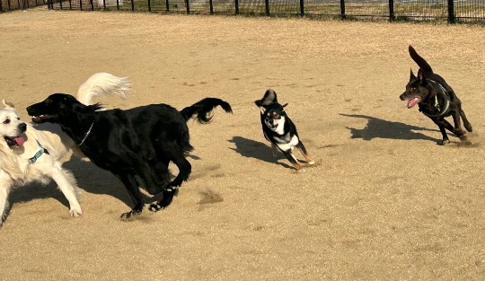 生き物ルーム73