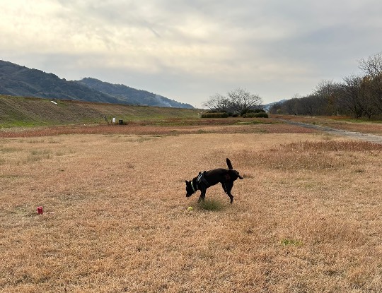 生き物ルーム73