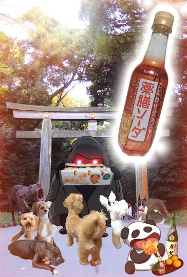 生き物ルーム73