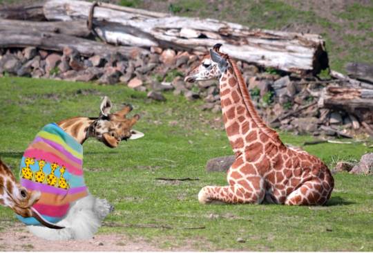 生き物ルーム73