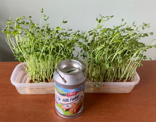 ★ドンキ♡♡ロピア雑談112★