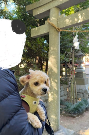 生き物ルーム73