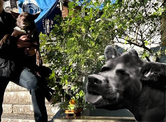 生き物ルーム73