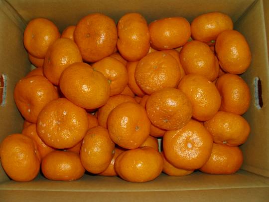 ★ドンキ♡♡ロピア雑談112★