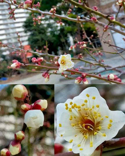 ★ドンキ♡♡ロピア雑談112★