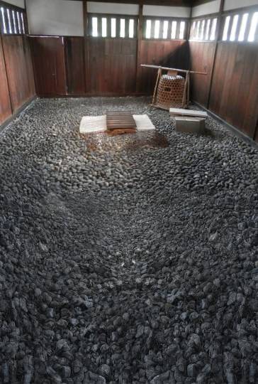 生き物ルーム73