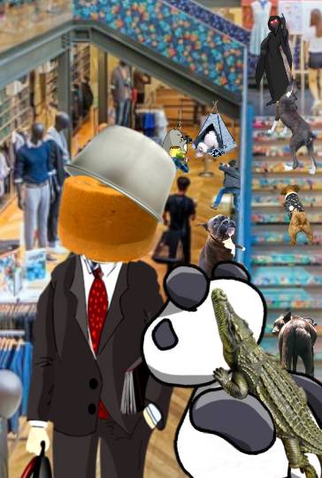 生き物ルーム74