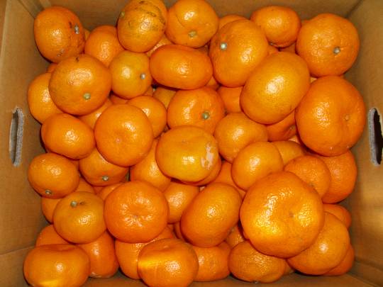 ★ドンキ♡♡ロピア雑談113★