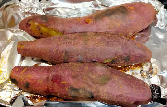 ★ドンキ♡♡ロピア雑談113★