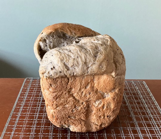 ★ドンキ♡♡ロピア雑談113★