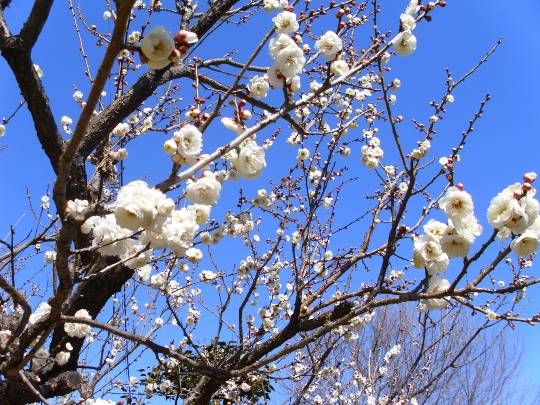 ★ドンキ♡♡ロピア雑談113★