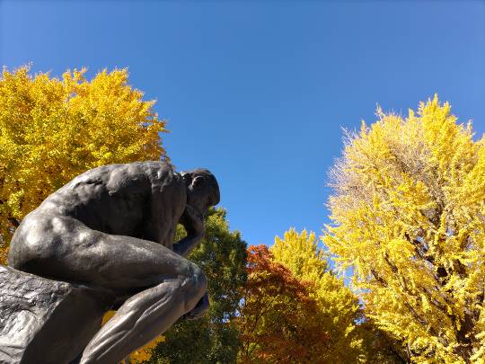 【スナックJlNJlN】キッチンカー　明日こそ咲く夢　出張営業８