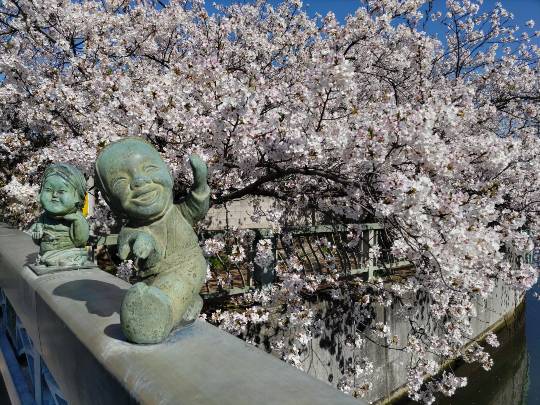 【スナックJlNJlN】キッチンカー　明日こそ咲く夢　出張営業８