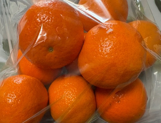 ★ドンキ♡♡ロピア雑談113★