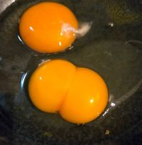 2月28日(金曜日) 　広島倉庫店｜ジョーンズのイベントやってました
ベー...