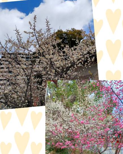 ★ドンキ♡♡ロピア雑談113★