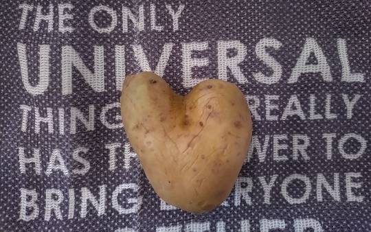 ★ドンキ♡♡ロピア雑談113★