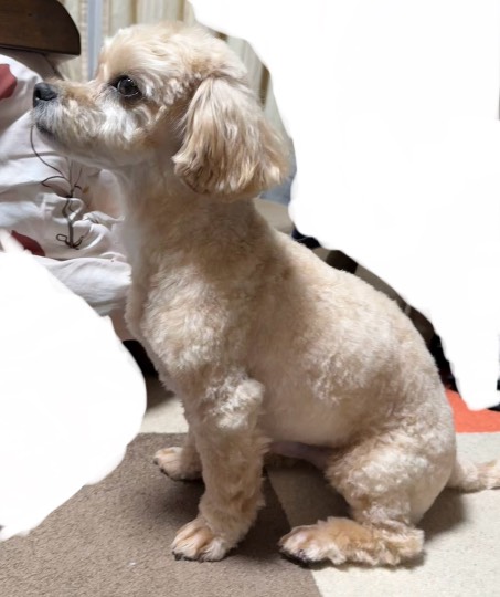 生き物ルーム74