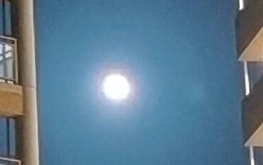 ★ドンキ♡♡ロピア雑談114★