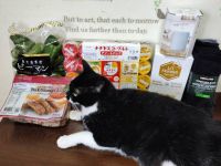 3月19日(水曜日) 　広島倉庫店｜購入品

チルソンサイダー500ml...