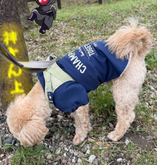 生き物ルーム74