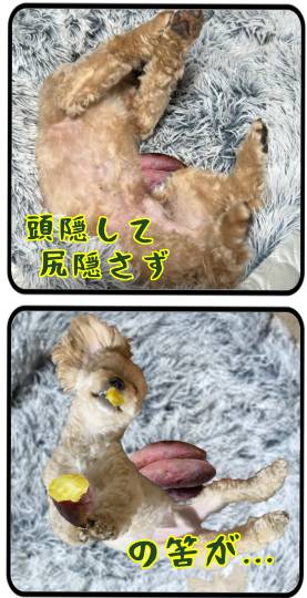 生き物ルーム74