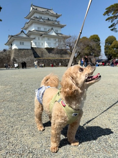 生き物ルーム74