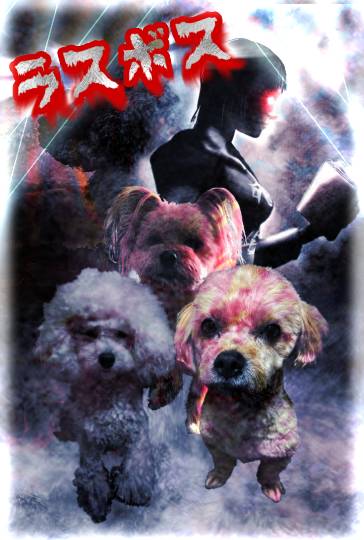 生き物ルーム74