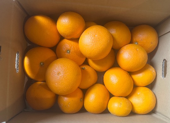 ★ドンキ♡♡ロピア雑談113★