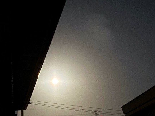 ★ドンキ♡♡ロピア雑談114★