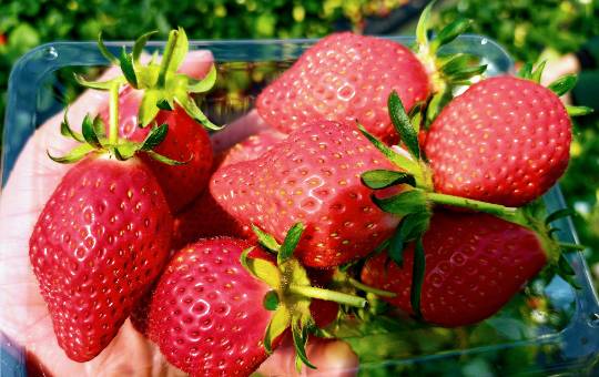 マスク同窓会詰め所兼ニューフェイス歓迎所46ヽ⁠(⁠*ﾟ⁠ｰﾟ⁠*⁠)