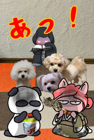 生き物ルーム74