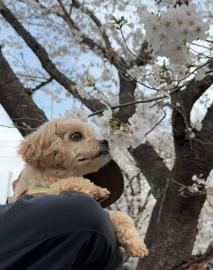 生き物ルーム74
