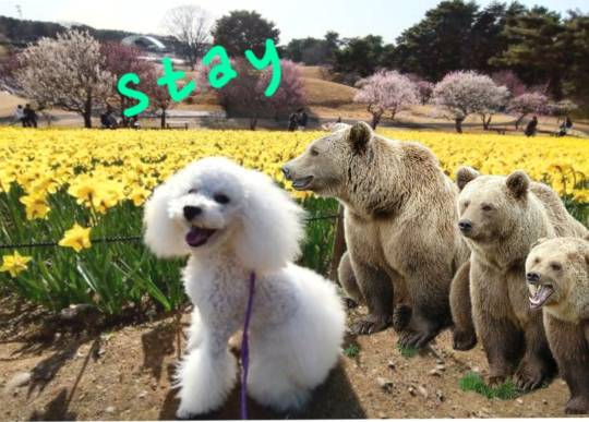 生き物ルーム74